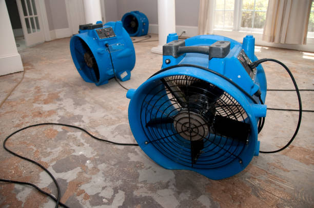 Best Flood damage cleanup  in Hillsborough, NC