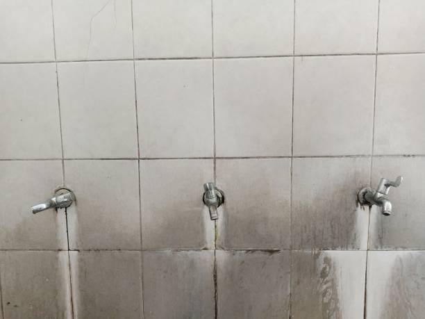 Best Ceiling water damage repair  in Hillsborough, NC